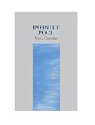 Infinity Pool image