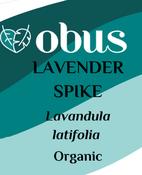 Lavender, Spike image