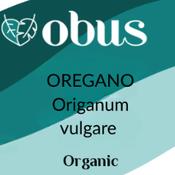 Oregano
