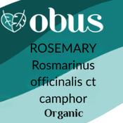 Rosemary