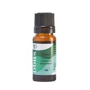 Wintergreen