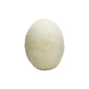 earth egg - coconut
