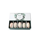 wild fig &amp; moroccan rose fizz box