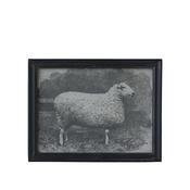Black Frame with Sheep Motive