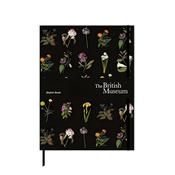 Delany Flowers Sketch Book
