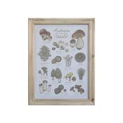 Picture with Mushroom Motif and Nature Frame image