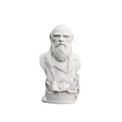 Timothy Richards Charles Darwin Small Bust