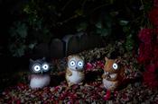 Hedgerow Heroes