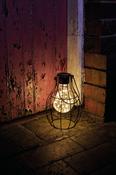 Eureka! Firefly Large
