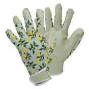 Smart Gardeners Sicilian Lemon Med Size 8