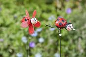 Ladybugs