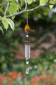 Robin 34cm