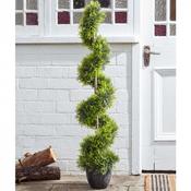 Cypress Topiary Twirl 120 cm image