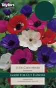 Anemone De Caen Mixed 15 pack image