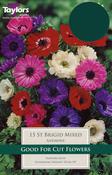 Anemone St. Brigid Mixed 15 pack image