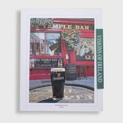 The Temple Bar print vision of ireland