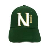 Book of Kells Alphabet Cap Bottle Green - N