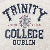 Trinity College Dublin 1592 T-shirt Grey Marl - M image