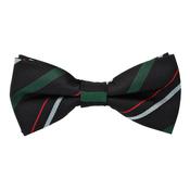 Official Trinity College Dublin Graduate Silk Bow Tie image