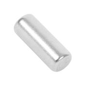 Freezer Magnet