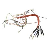 harness, steam, generator image
