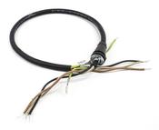 CM Power Cord (V1) image