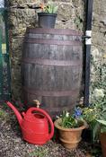 Whiskey Barrel Water Butt