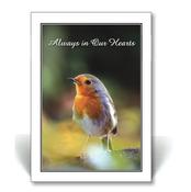 Memorial Card Nature - NM25 image