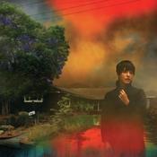 Sharon Van Etten | We've been going about this all wrong [Smoke Marble Vinyl] LP image
