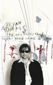 Bryan Adams - The Only Thing That Looks Good On Me Is You (Cass, Maxi, Single) image