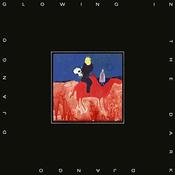 Django Django | Glowing In The Dark [Vinyl Album] LP image