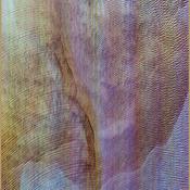 Akron/Family - Sub Verses (CD, Album) image