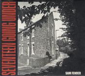 Sam Fender - Seventeen Going Under (CD, Album, Dlx) image