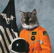 Klaxons - Surfing The Void (CD, Album, Enh) image