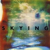 The Horrors - Skying (CD, Album) image