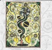 Steve Earle - I Feel Alright (CD, Album) image