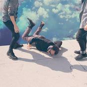 Local Natives - Hummingbird (CD, Album) image