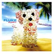Fluke - Puppy (CD, Album, P/Mixed) image