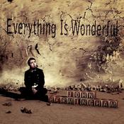 John Bermingham | Everything Is Wonderful [CD Album]CD image