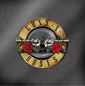 Guns N Roses | Greatest Hits [Double Vinyl Album] 2LP image