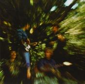 Creedence Clearwater Revival | Bayou Country [Vinyl Album] LP image