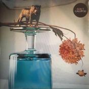Beirut | Gallipoli [Green Coloured Vinyl Album] LP image
