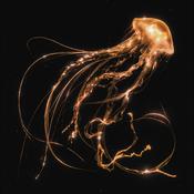 Royal Blood | Back To The Water Below [Compact Disc] CD image