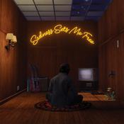 Gruff Rhys | Sadness Sets Me Free [CD] Digi-pack image