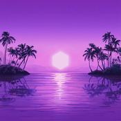 Purple Disco Machine Paradise [Double 'Indie Excl.' Vinyl] 2LP image