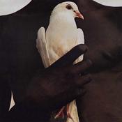 Santana - Santana's Greatest Hits (LP, Comp, RE) image