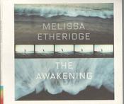 Melissa Etheridge - The Awakening (CD, Album, Ltd, Car) image