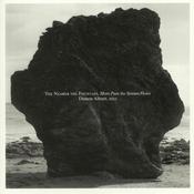Damon Albarn - The Nearer The Fountain, More Pure The Stream Flows (LP, Album)