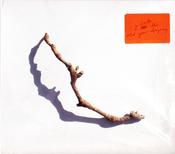 PJ Harvey - I Inside The Old Year Dying (CD, Album) image