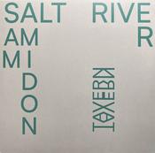 Sam Amidon - Salt River (LP, Album) image